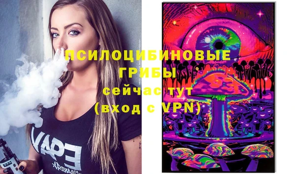 МДПВ Армянск