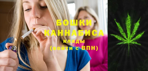 винт Аркадак