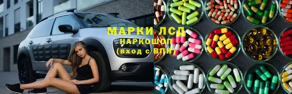винт Аркадак