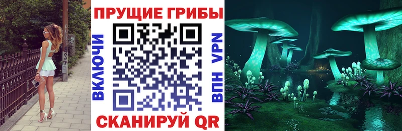 купить   Углегорск  Псилоцибиновые грибы прущие грибы 